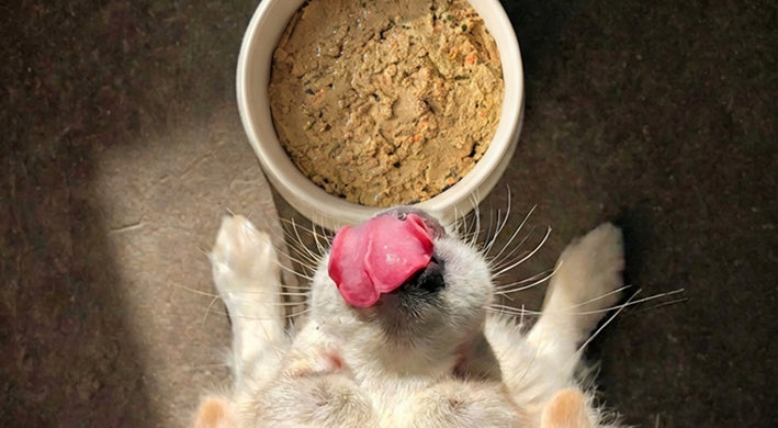 MyloMeals Bowl
