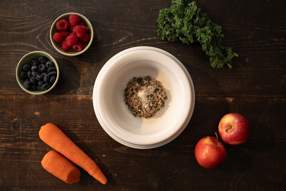 Fruits for Dogs: Yes or No? 2025 Pet Nutrition Guide