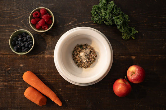 Fruits for Dogs: Yes or No? 2025 Pet Nutrition Guide