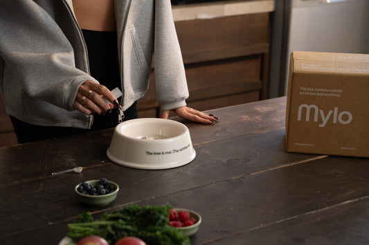 Nutritional Health + Gut Health = The Complete Bowl