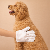 Pet Cleaning Glove (1 Glove)
