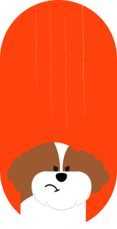 Illustration of a grumpy looking poodle with a fluffy brown mane and a white snout, set against a vibrant red background with vertical streaks