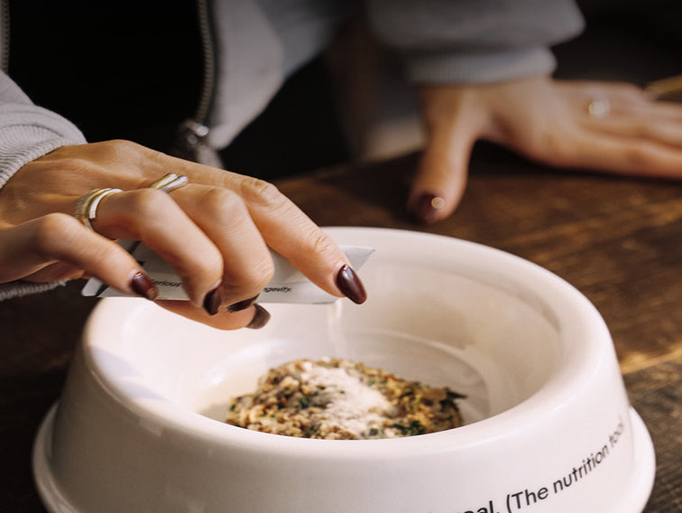 MyloMeals Bowl