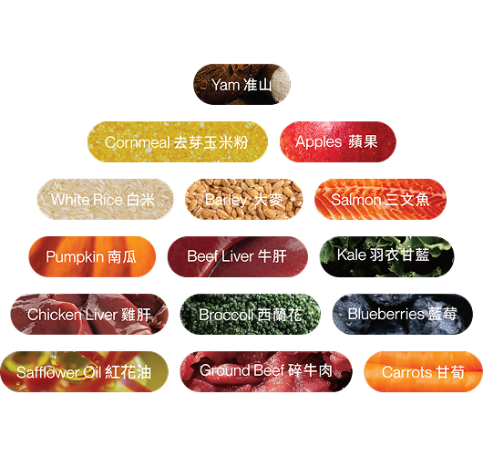 Color swatches with text labels for various food items on a white background