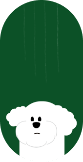 Cartoon illustration of a white poodle with a fluffy head and a blank expression, set against a dark green background with vertical streaks