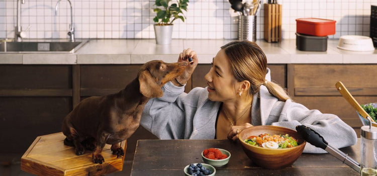 Woman feeding a small dog at a kitchen table with food and a plant in the background