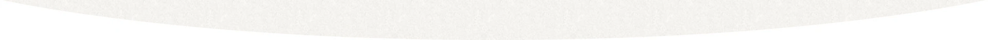 section-divider